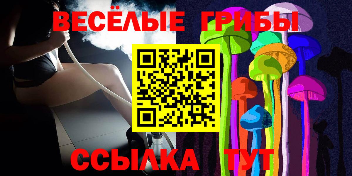 Назарово  Псилоцибиновые грибы Psilocybine cubensis  Вход с VPN  Галлюциногенные грибы Psilocybe 